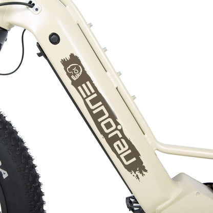Close-up of a bicycle frame with 'Elnora' branding on a white background