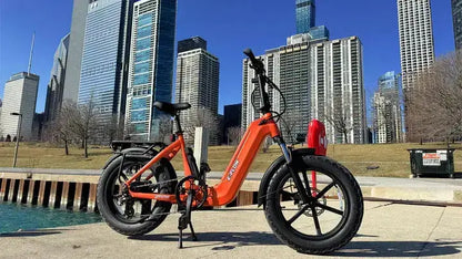 Young E-Flow Folding Low Step Electric Foldable
