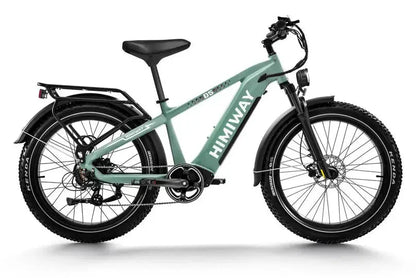 D5 Zebra | Himiway, All-terrain, Fat Tire
