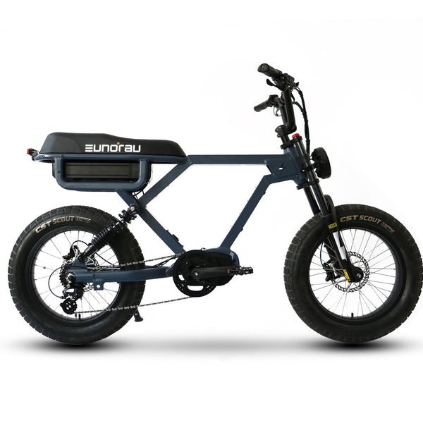 Ebike - Eunorau Flash 3 Battery Long Distance Electric Bike