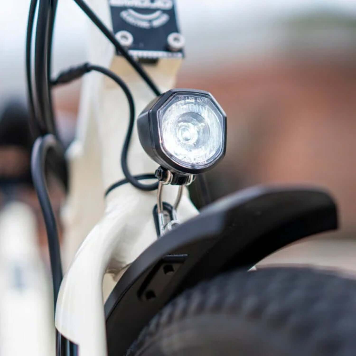 Emojo Bull Urban Cruiser 48V 500W Step-Thru Electric Trike