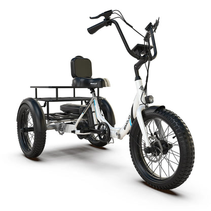 Emojo Dexter Jr. 48V 500W Foldable Step-Thru Electric Trike