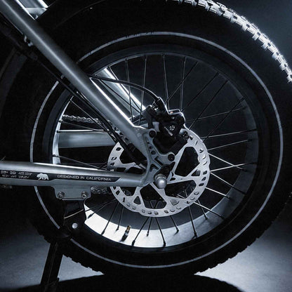 Emojo Street X 48V 750W Fat Tire Electric Bike