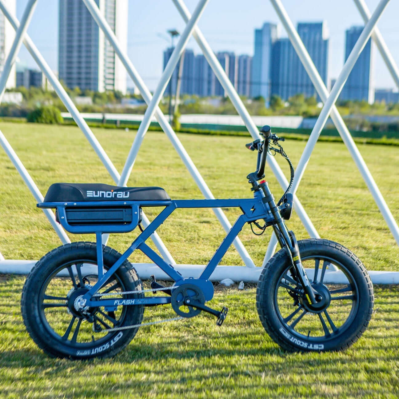 Blue electric bike on grass with city skyline in the background