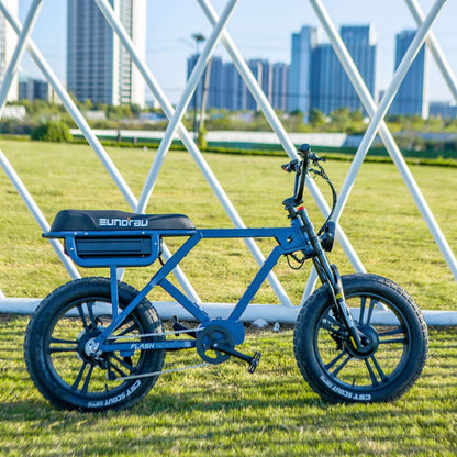 Blue electric bike on grass with city skyline in the background