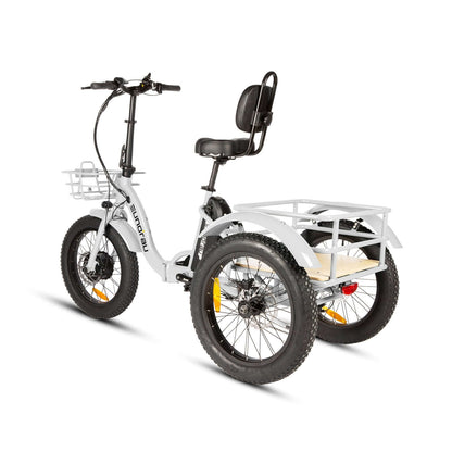 Eunorau New-Trike Folding Fat Tire Cargo Electric Tricycle