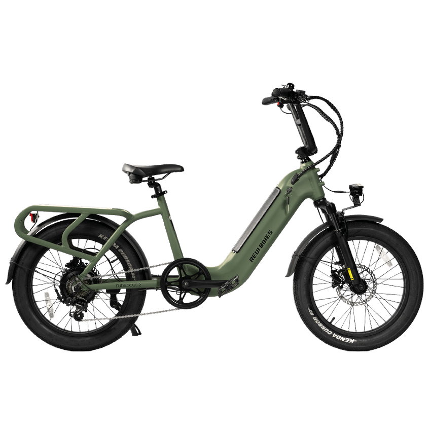 An electric bicycle in an olive green frame with black components, shown from a side profile on a solid white background. The brand name 'FASHION' is visible on the frame.