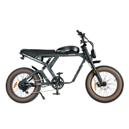 Revi Cougar Pro 60V 1600W Electric Bicycle