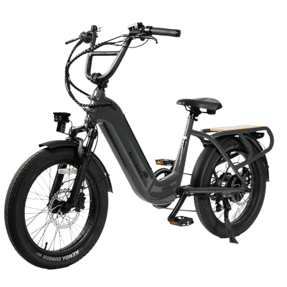 A dark gray electric bicycle with fat tires, a step-through frame, and a rear cargo rack, shown on a solid white background.