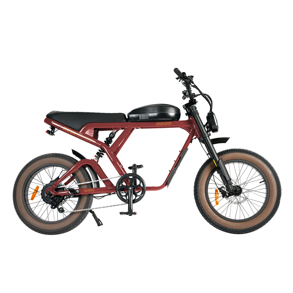 Revi Cougar Pro 60V 1600W Electric Bicycle
