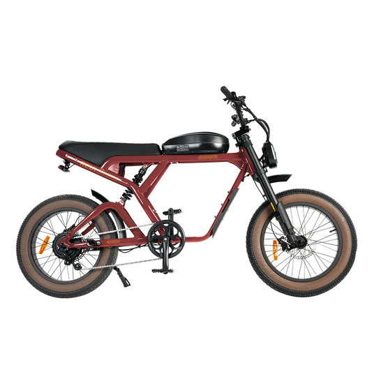 Revi Cougar Pro 60V 1600W Electric Bicycle