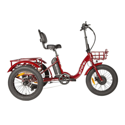 Eunorau New-Trike Folding Fat Tire Cargo Electric Tricycle