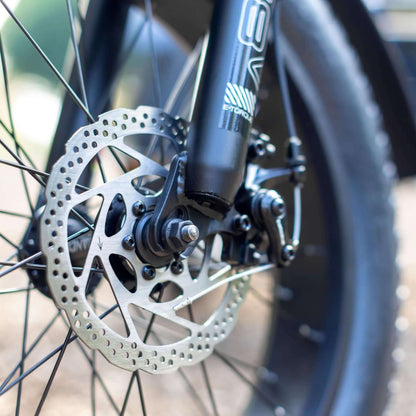 Emojo Bull Trail 48V 750W Step-Thru Electric Trike