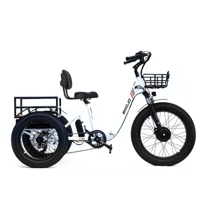 Emojo Bison PRO 48V 750W Step-Thru Electric Trike