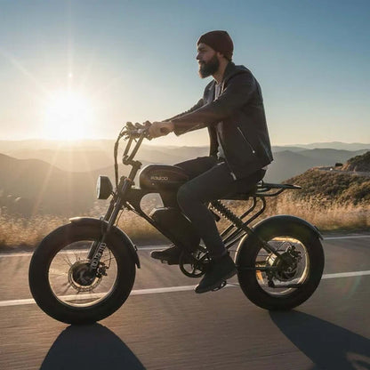Meelod DK300PRO Dual Battery Electric Bike