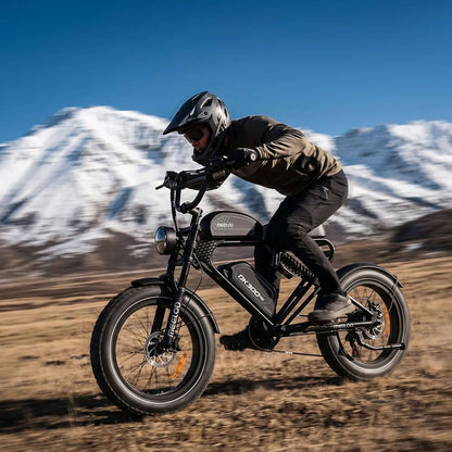 Meelod DK300PRO Dual Battery Electric Bike
