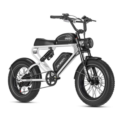 Meelod DK300PRO Dual Battery Electric Bike