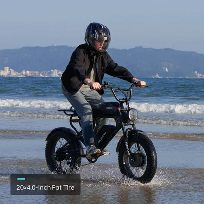 Meelod DK300MAX Dual Motor Electric Bike
