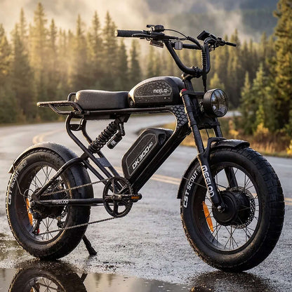 Meelod DK300MAX Dual Motor Electric Bike