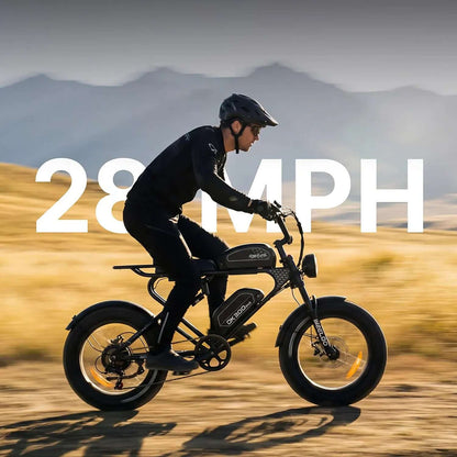 Meelod DK300MAX Dual Motor Electric Bike