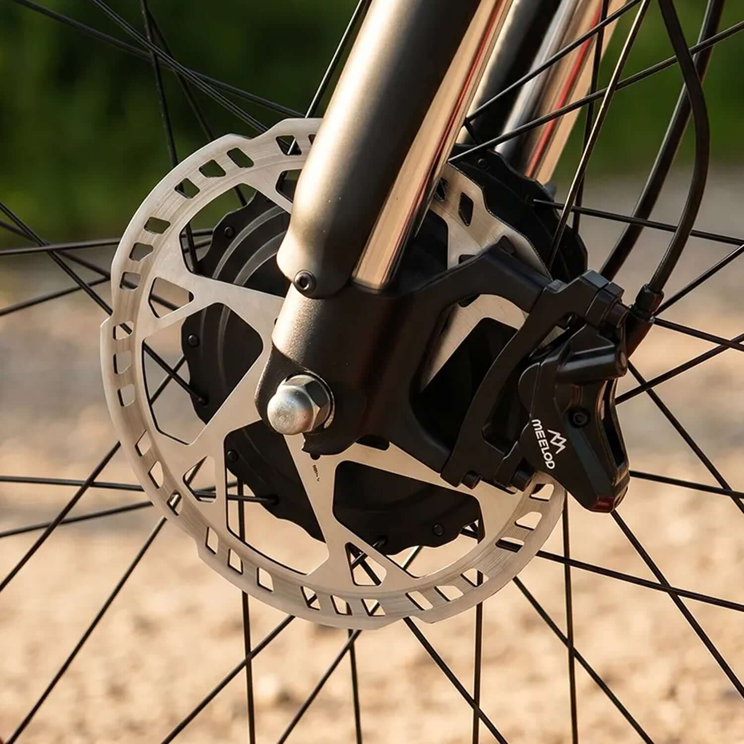 Meelod XT600DL Dual Motor Fat Tire Electric Bike
