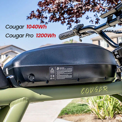 Revi Cougar 52V 1000W Electric Bicycle