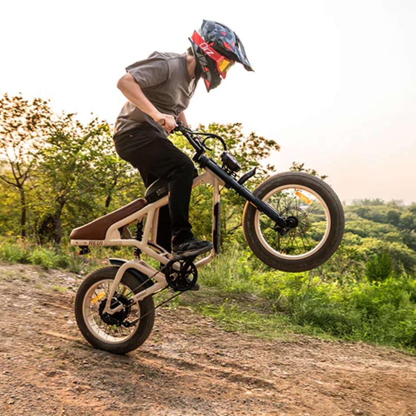 Revi Cougar 52V 1000W Electric Bicycle