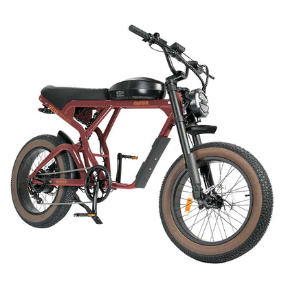 Revi Cougar 52V 1000W Electric Bicycle