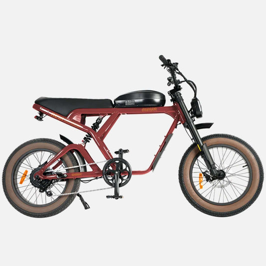 Revi Cougar 52V 1000W Electric Bicycle