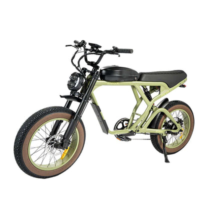 Revi Cougar 52V 1000W Electric Bicycle