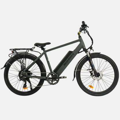 Revi Oasis.2 48V 750W Electric Bicycle