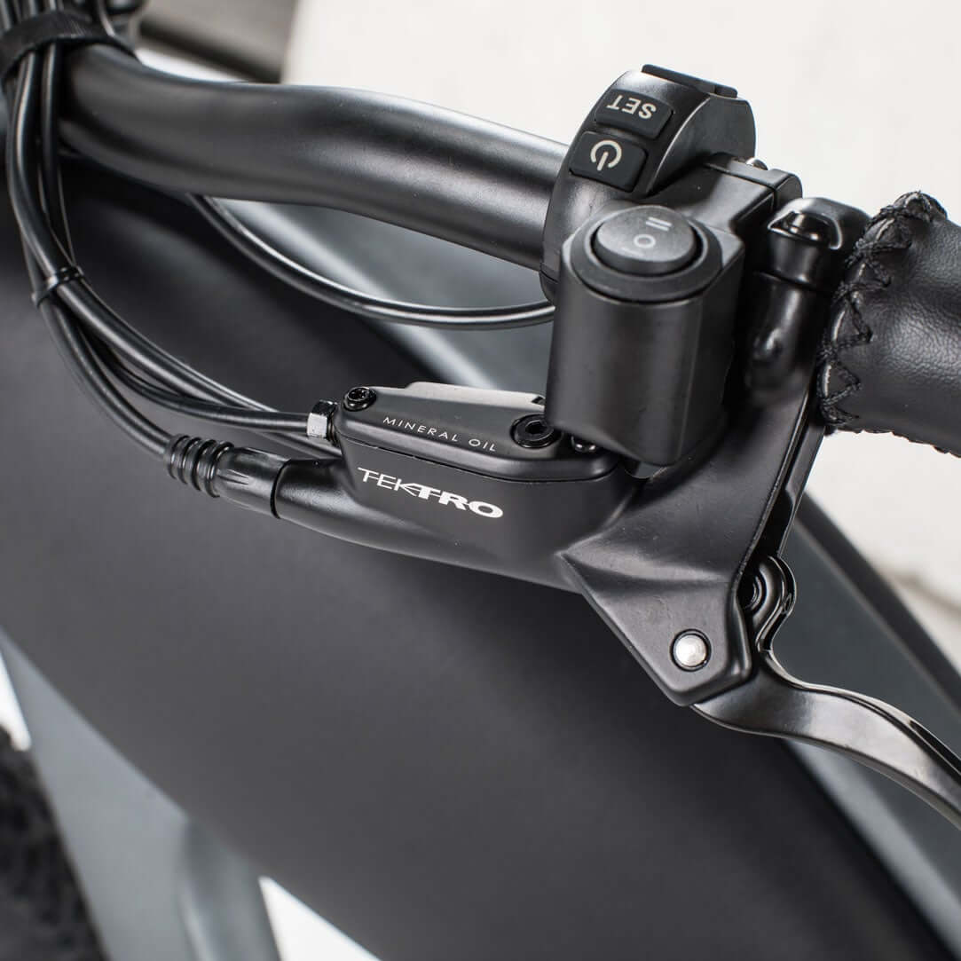Ebike - Revi Cheetah Cafe Racer Vintage Motorcycle E-Bike