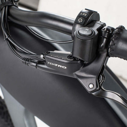 Ebike - Revi Cheetah Cafe Racer Vintage Motorcycle E-Bike
